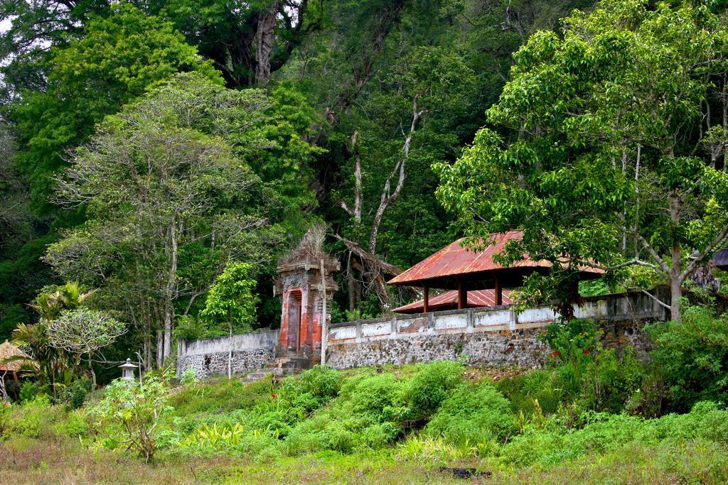 Bali Bening Hotel Munduk Kültér fotó